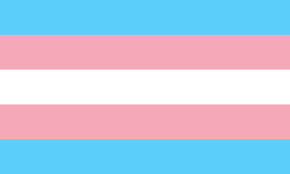 trans flag. link to the gender dysphoria bible